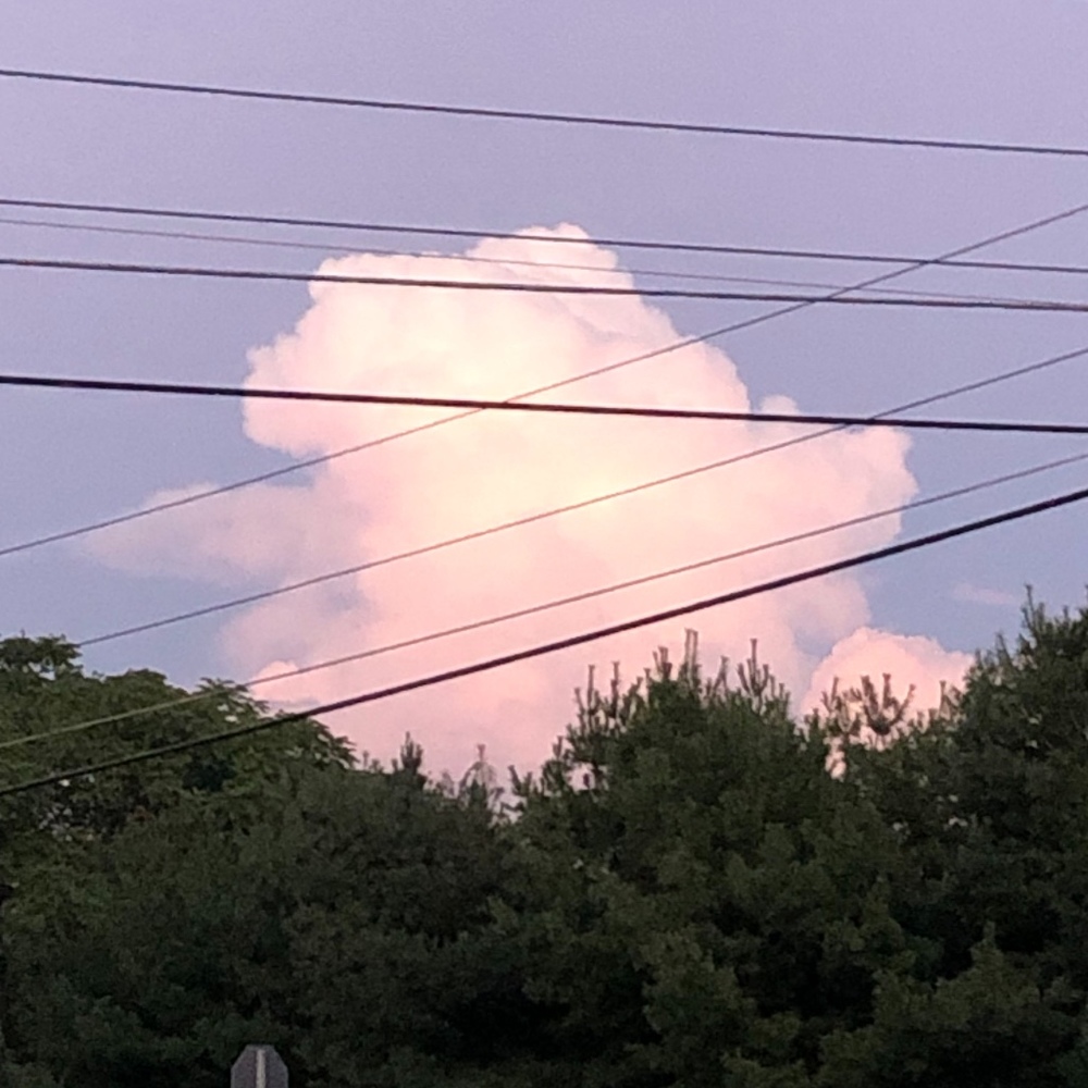 Meet your Posher, Mauricio